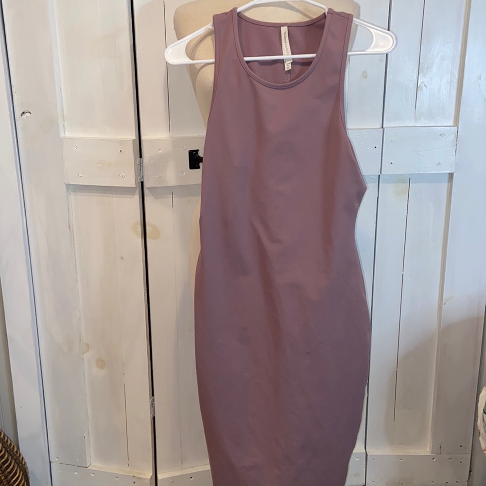 Aritzia The Group Babaton Ariane Bodycon Dress